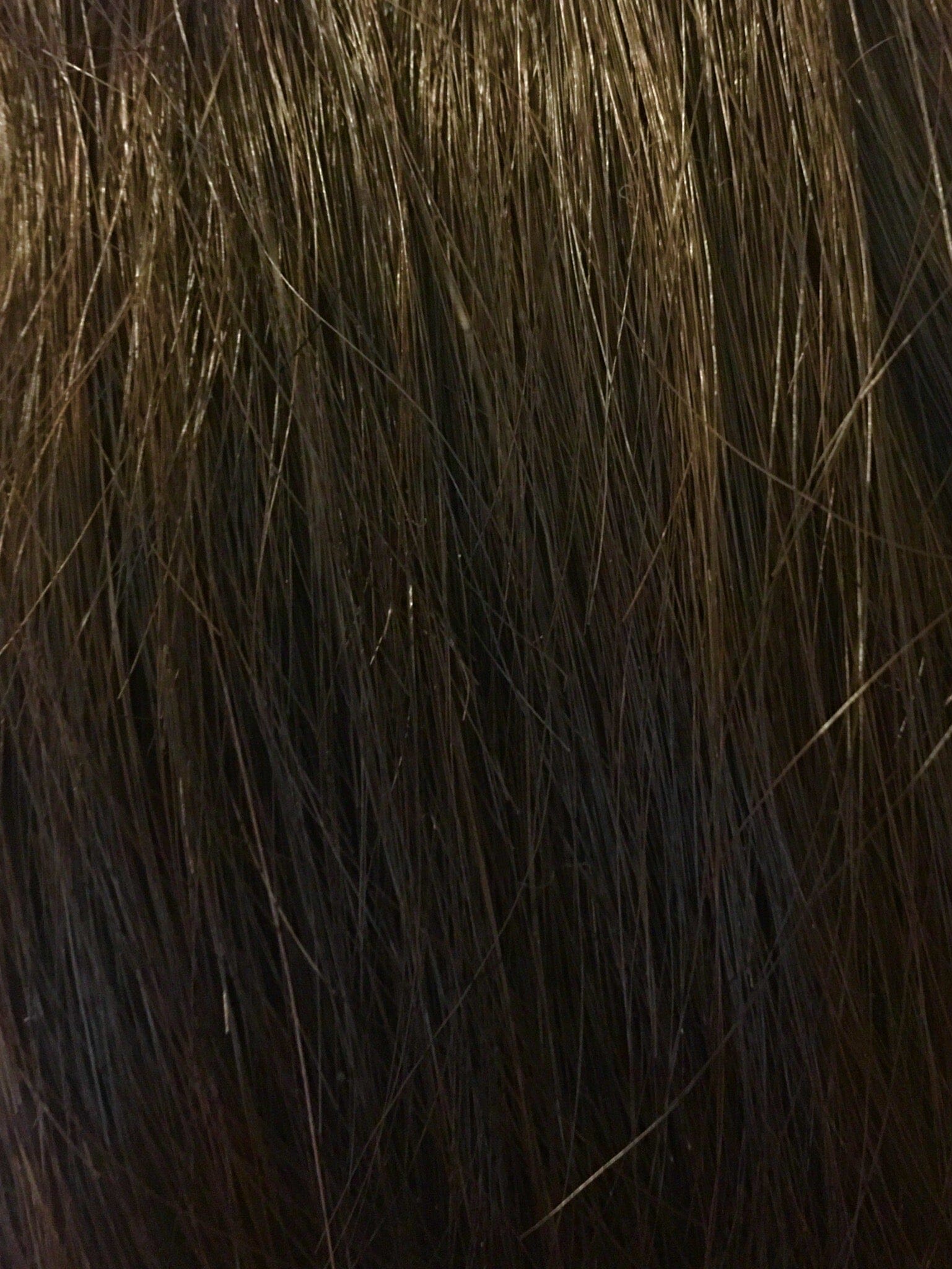 Christine Synthetic Wig by Envy