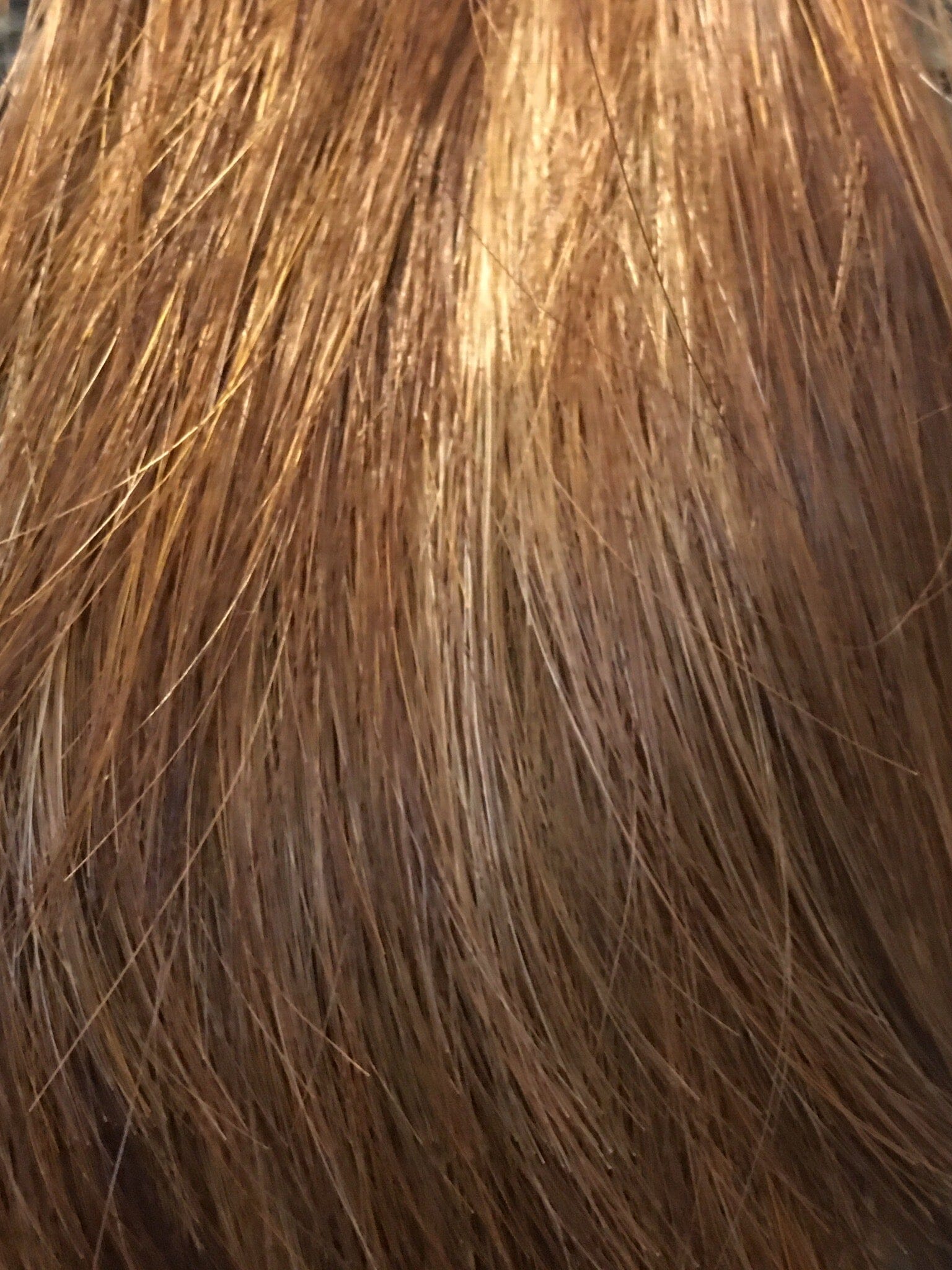 Celeste Large Wig by Envy