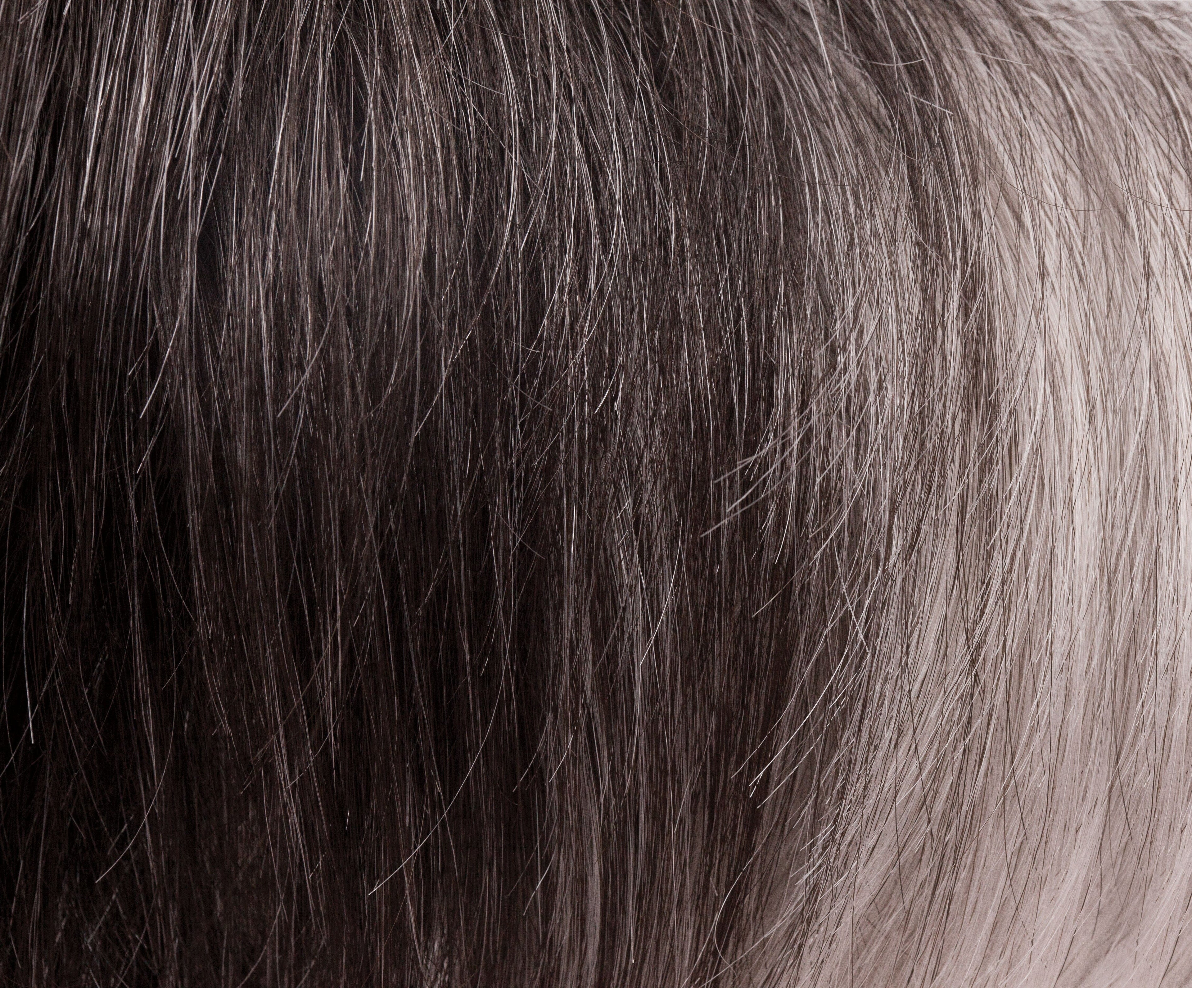 Eva Synthetic Wig by Noriko