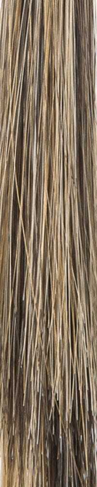 Cory Short Wig by Noriko