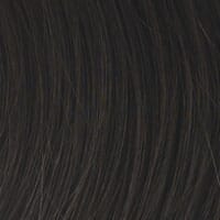 16" Hair Extension by Hairdo (Final Sale: Not Eligible for Return or Exchange)