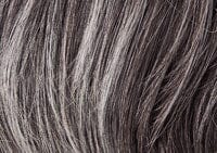 Cinch Wig by Raquel Welch