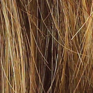 Cinch Wig by Raquel Welch