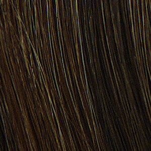 Breeze Wig by Raquel Welch