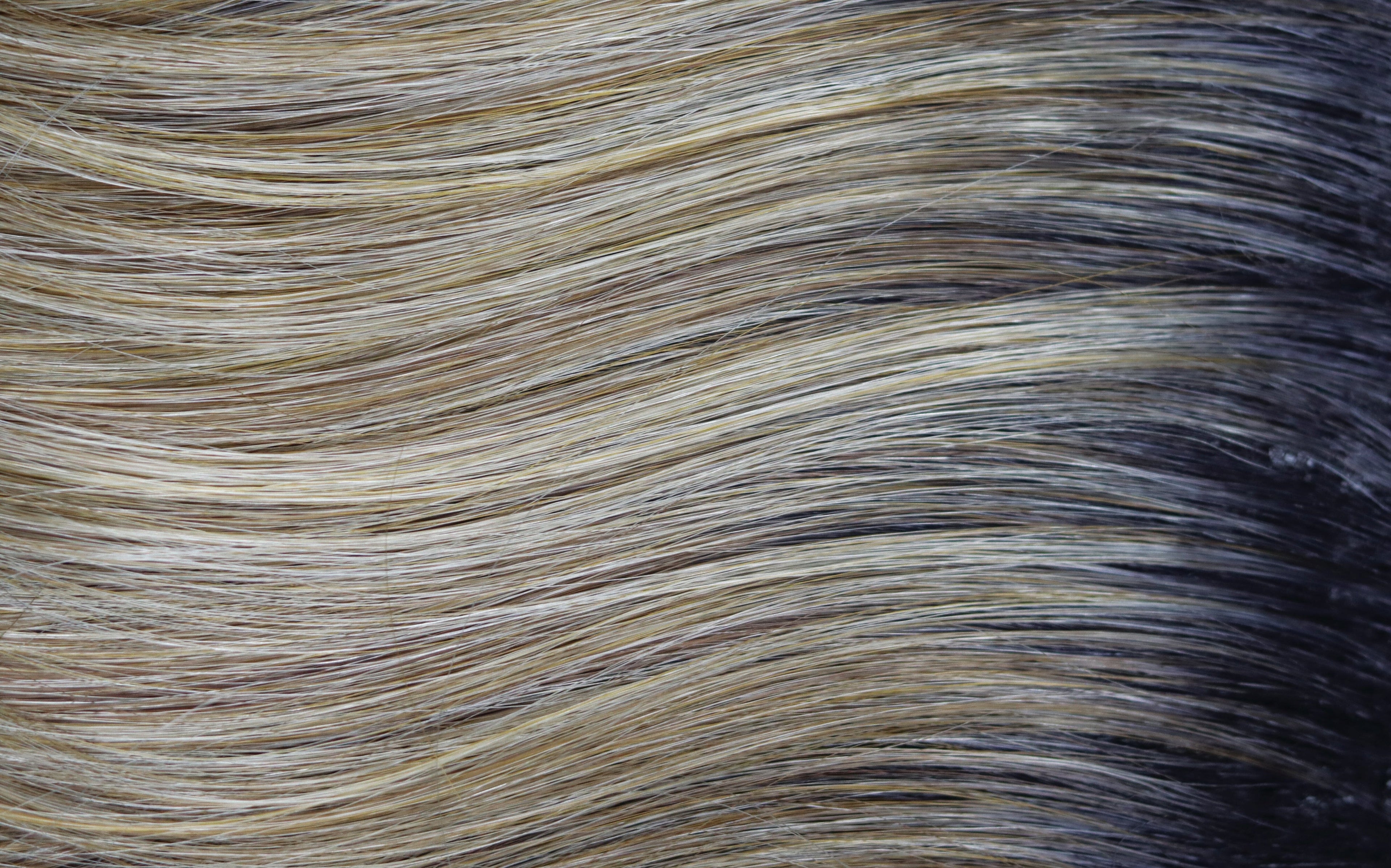 Ensley TP Synthetic Top Piece by Rene of Paris | Orchid Collection