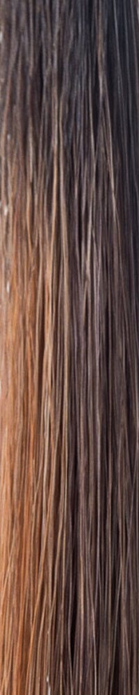 Claire Layered Wig by Noriko