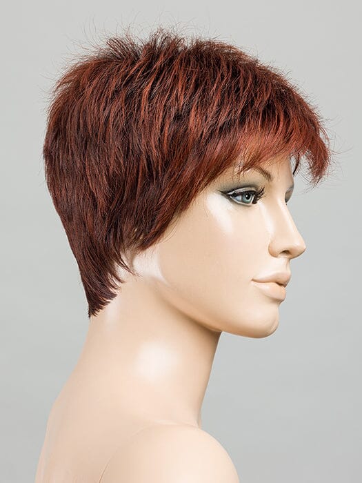Chat Wig by Ellen Wille