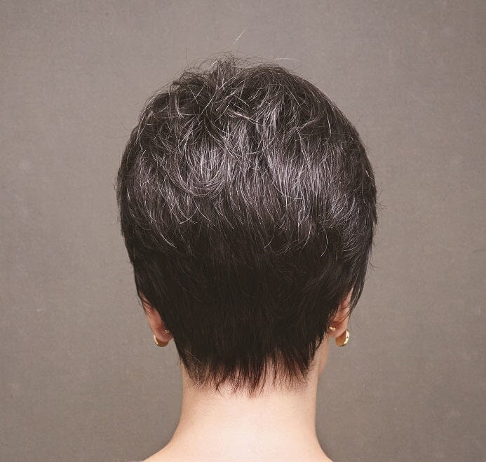 Eva Synthetic Wig by Noriko